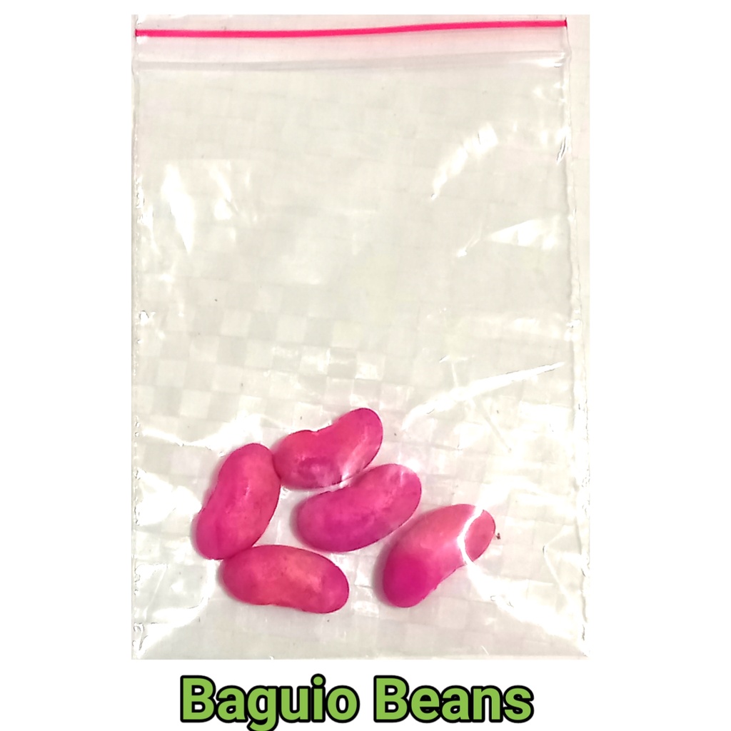 BAGUIO BEANS 1 POUCH = 5 SEEDS Shopee Philippines