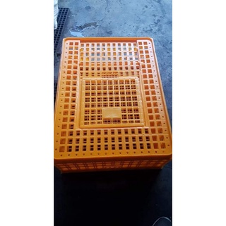 Live Chicken Crate (Chicken Coops) / Transport Cage (Brand New) #1