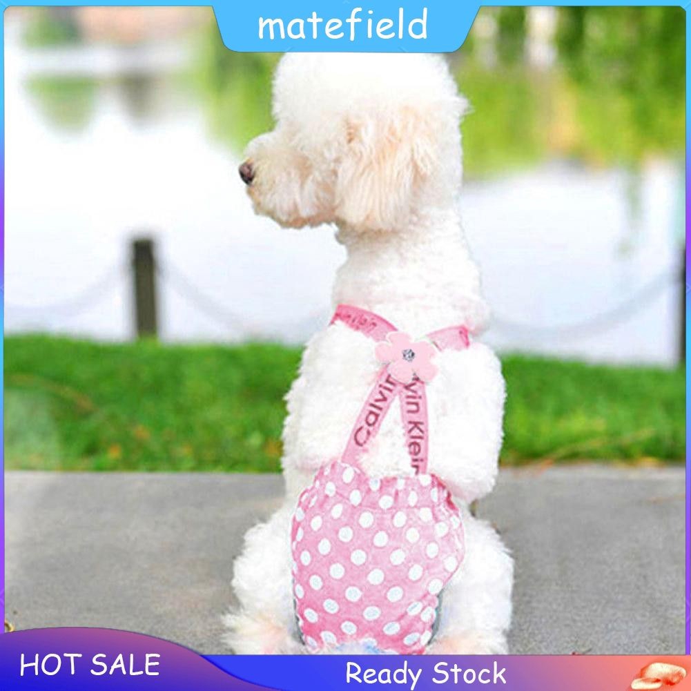 dog menstruation pants