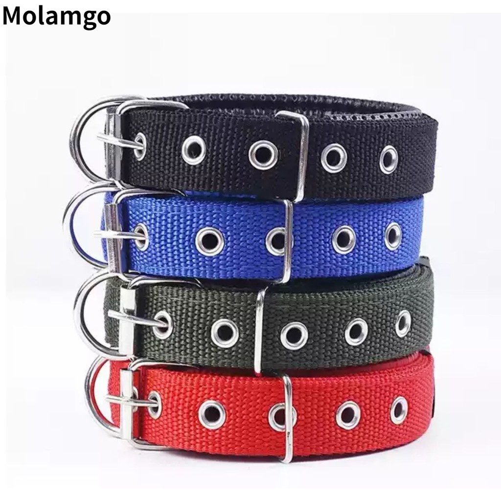 are leather dog collars safe