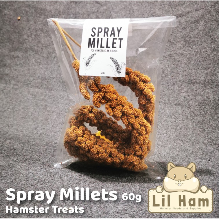 Spray Millets 60g for small rodents Shopee Philippines