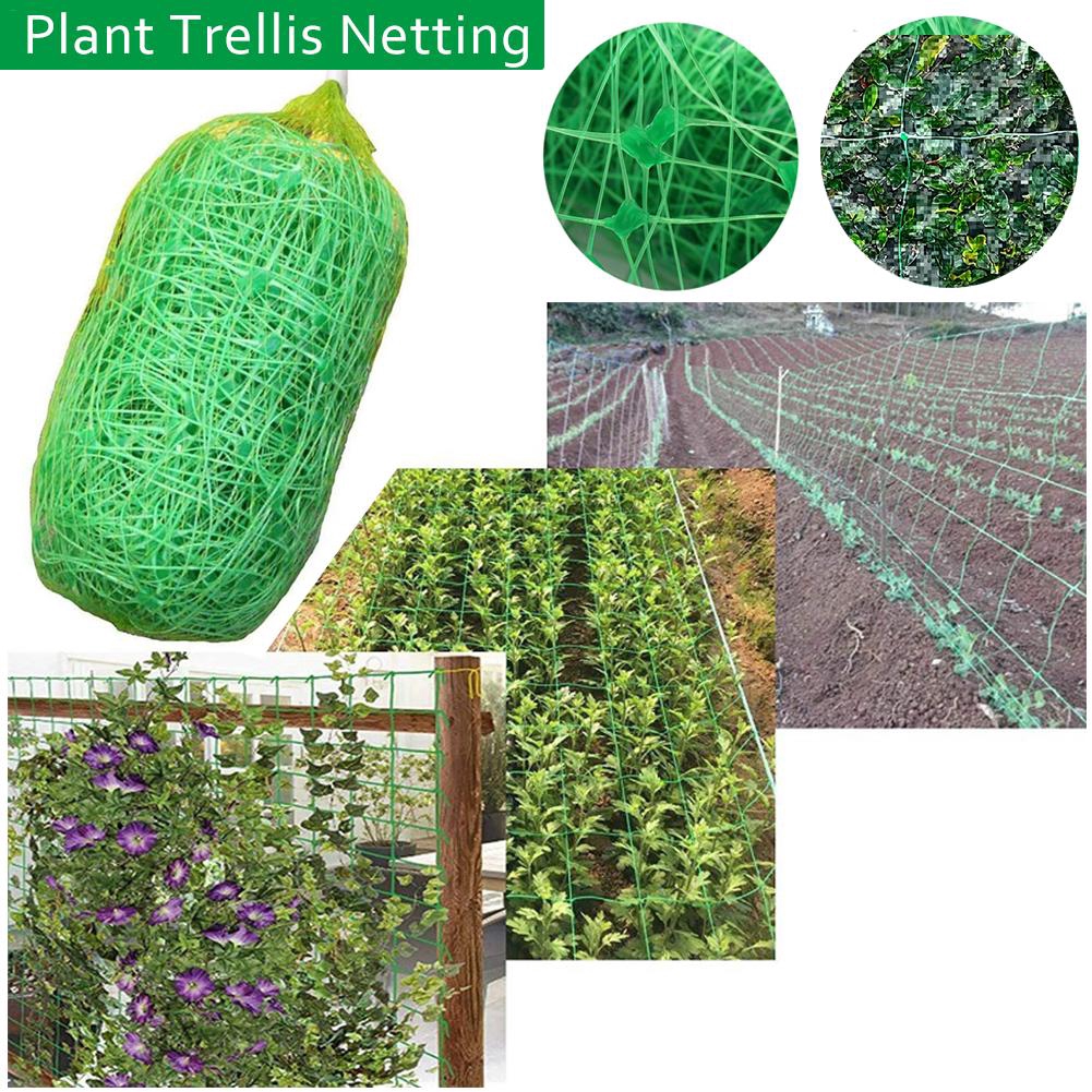 Cinglen Ph Plant Trellis Netting Pea Netting Green Garden Netting Trellis Net For Bean Fruits Vegetables Climbing Plants Shopee Philippines