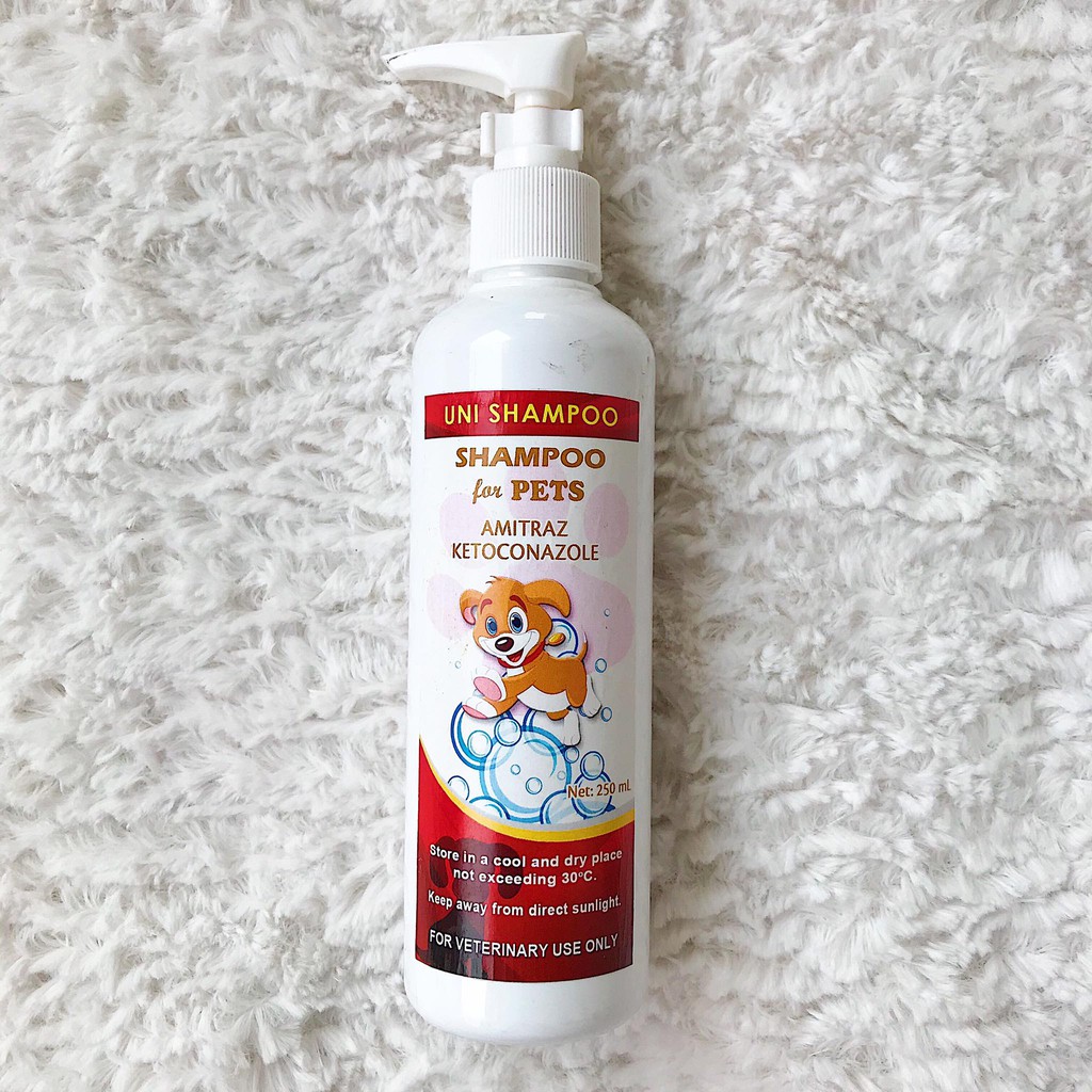 Can You Use Ketoconazole Shampoo On Dogs