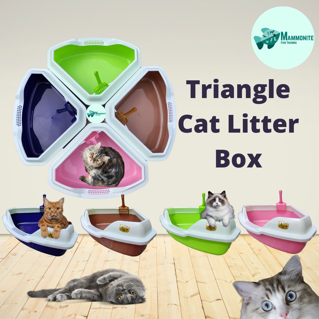 Triangle Cat Litter Box With Free Scooper 21x16x7 Inches For Young and