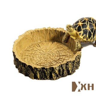 Resin Reptile Tortoise Water Dish Food Bowl Snakes Lizard #4