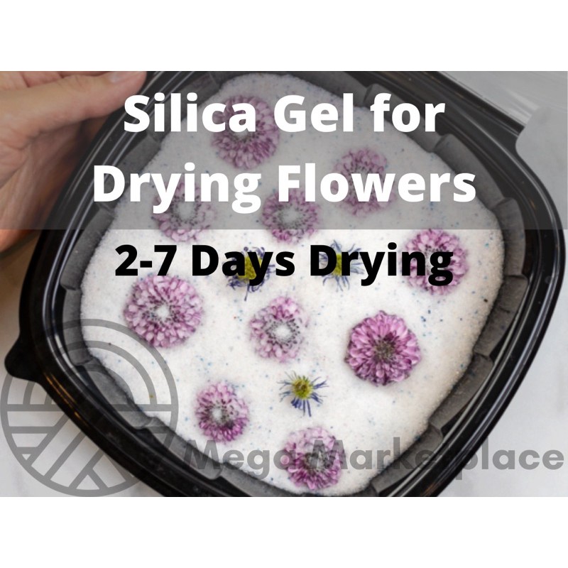 1000g Silica Gel Desiccant For Drying Flowers 10 Indicating Blue 90 Non Indicating Clear Shopee Philippines