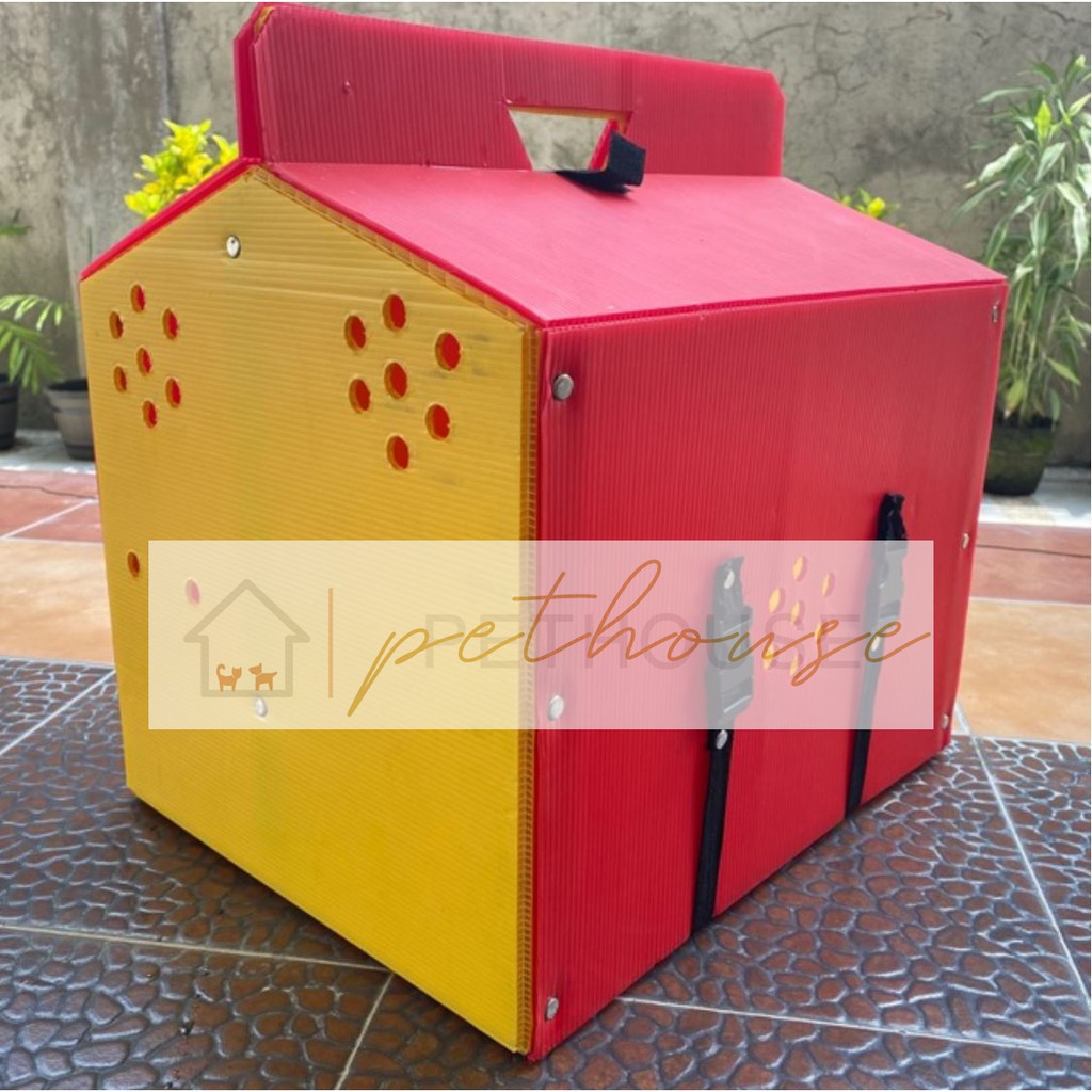 Plastic derby box double (random colors) Shopee Philippines