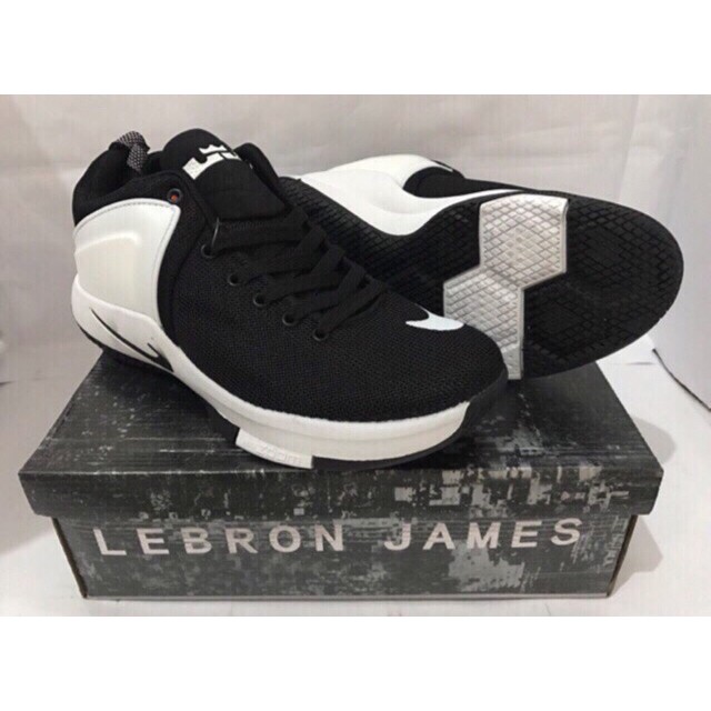 lebron shoes shopee