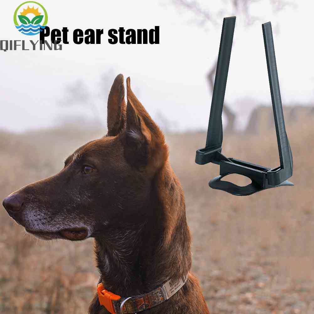 Dog Ear Stand Corrector Ear Care Tool Ear Stand Up Tool for Doberman Pinsch