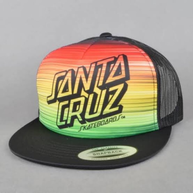 santa cruz skateboards hat
