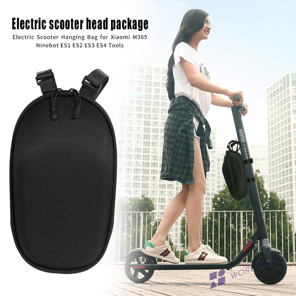 electric scooter luggage