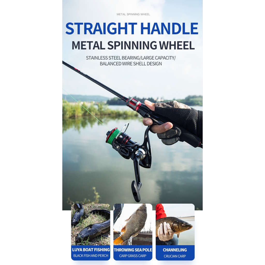 surf perch rod and reel