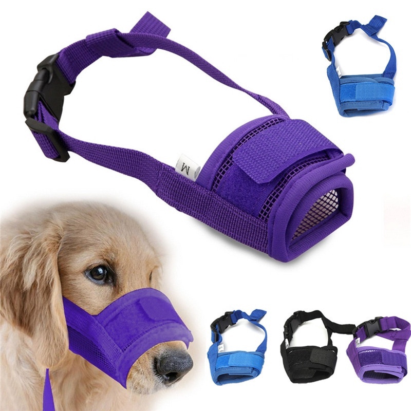 muzzle puppy to stop biting