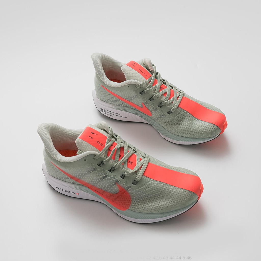 pegasus 35 43