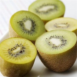[Fast Grow] Ready Stock In Philippines 300Pcs KIWI Seeds Actinidia Vine Seeds Nutritious Delicious F #6