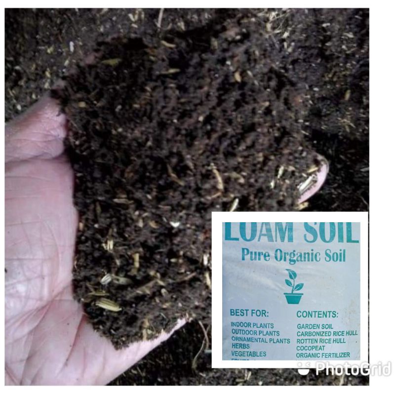 Loam soil (7 composition high grade potting mix) Shopee Philippines