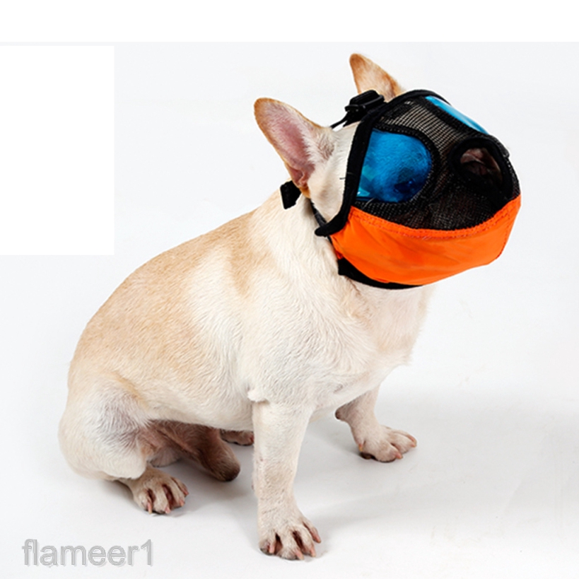 dog muzzle for grooming