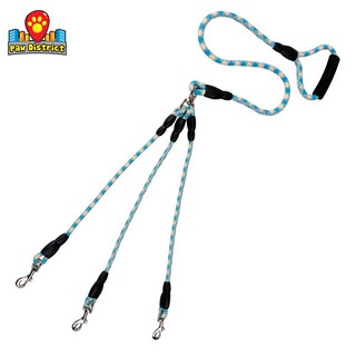 triple dog leash