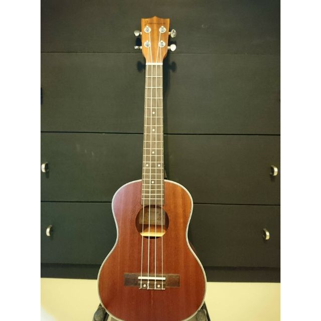 Ukulele price deals shopee