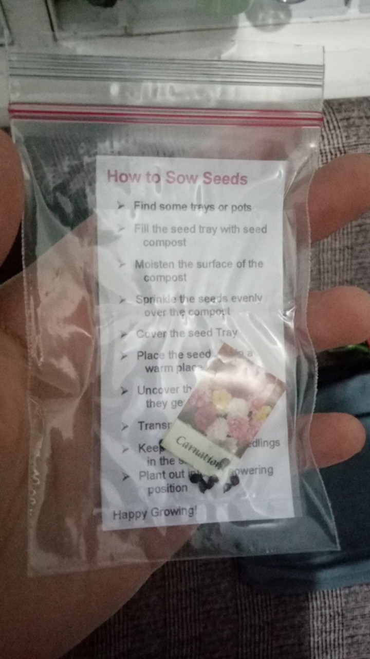 Different Flower Seeds ️ Shopee Philippines