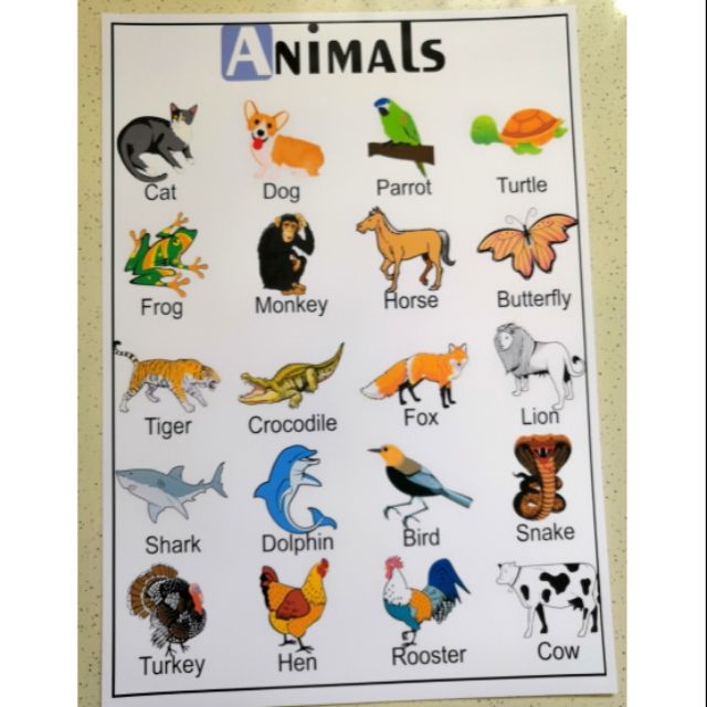 Animals Chart Laminated | Shopee Philippines