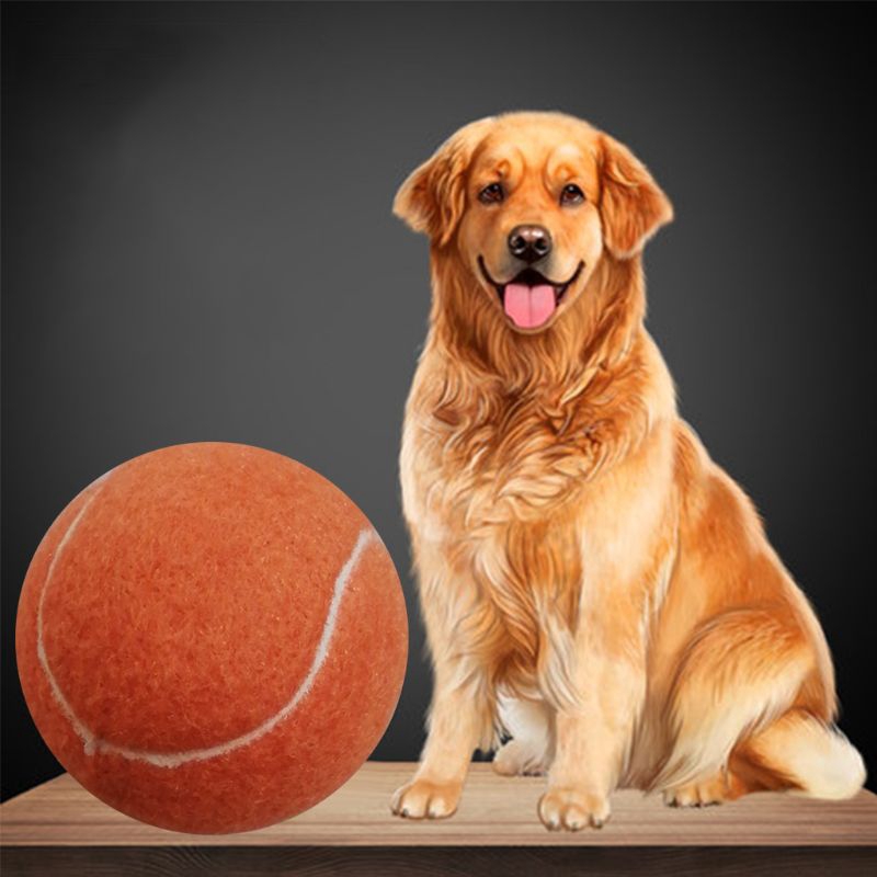 safe balls for dogs