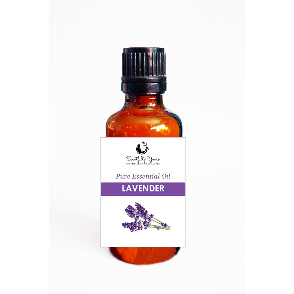 LAVENDER Natural Pure Essential Oil (500ml 1 Liter) Shopee