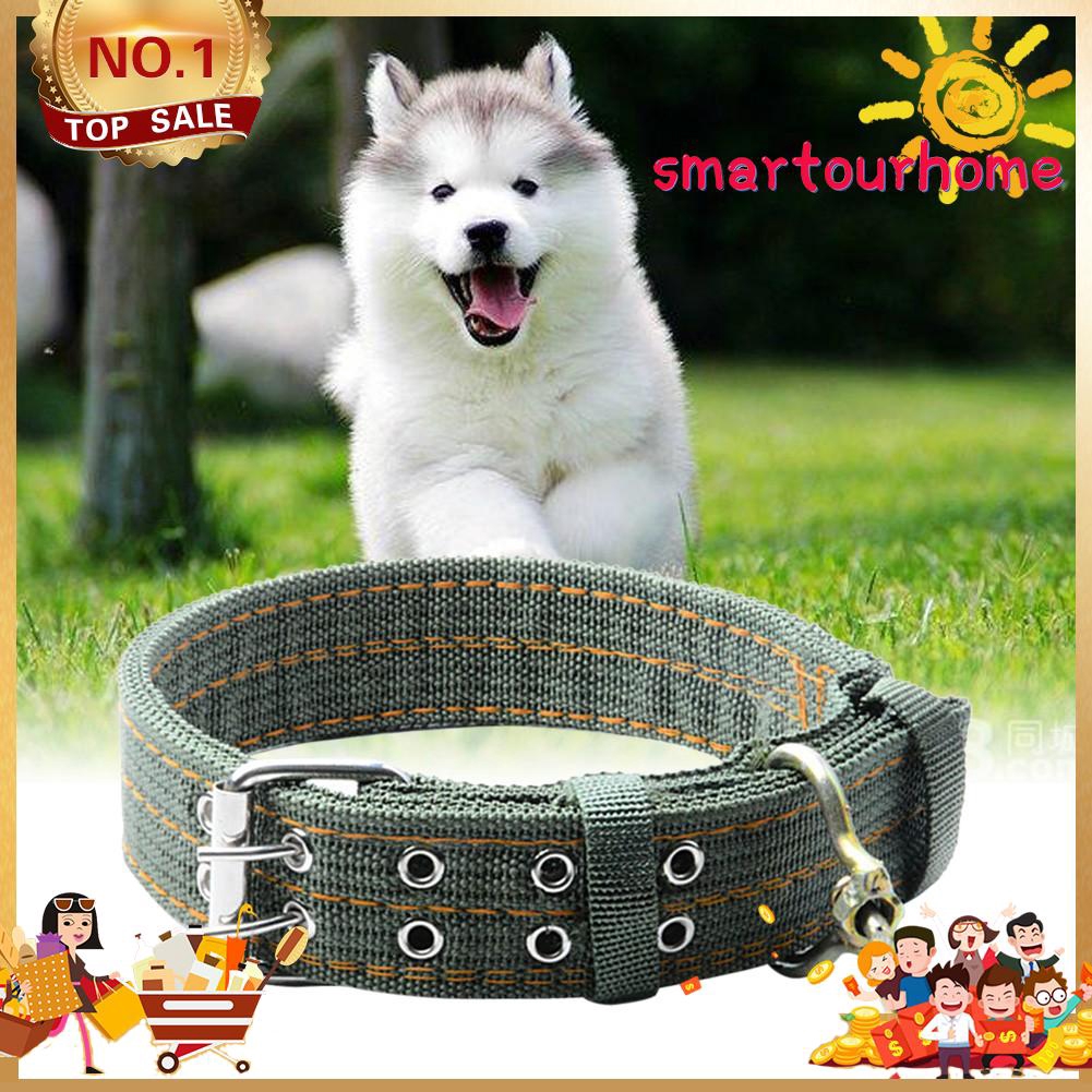 rat terrier and german shepherd mix