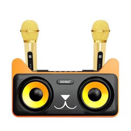 mic bluetooth sdrd