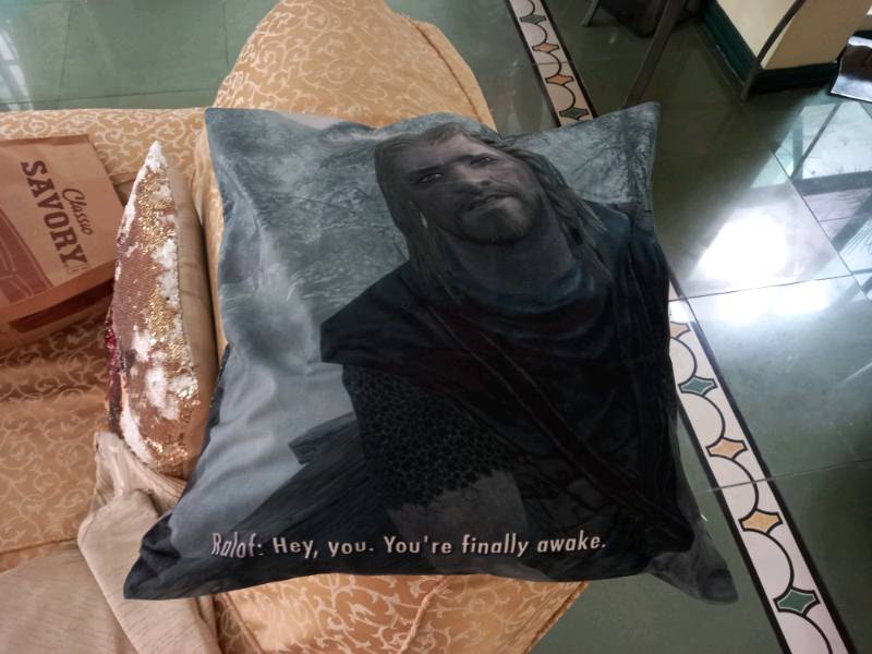 Hey You Youre Finally Awake Skyrim Meme Gdu Soft Decorative Throw Pillow Cover For Home 45cmx45cm 18inchx18inch Pillows Not Included Shopee Philippines