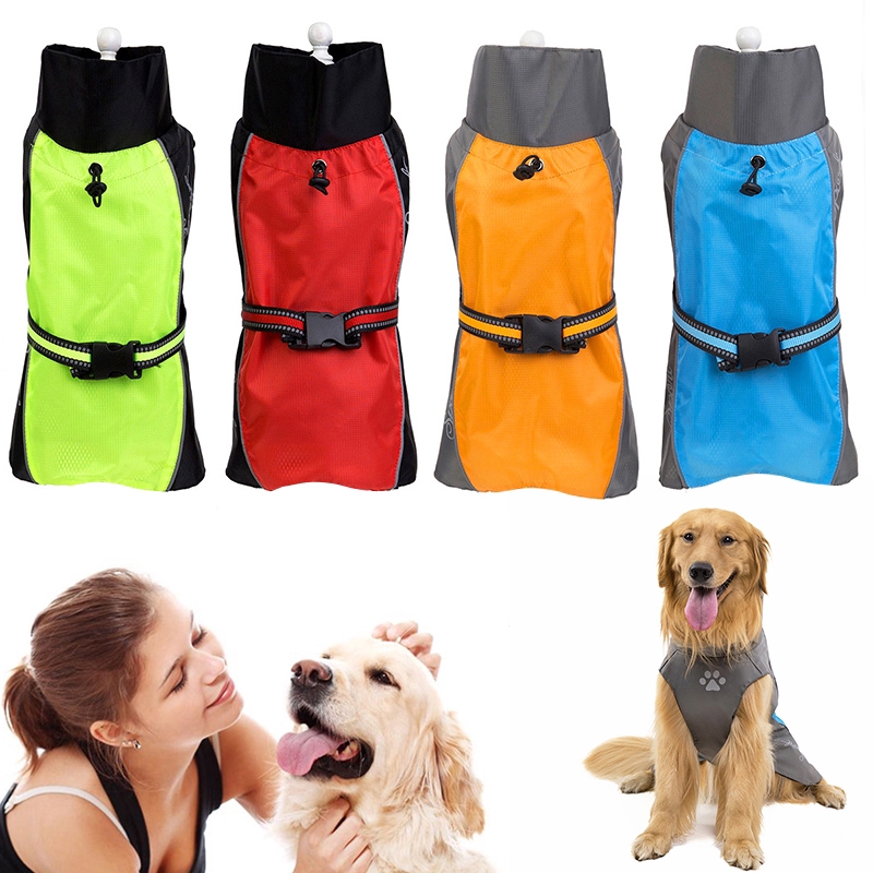 pet clothes for large dogs