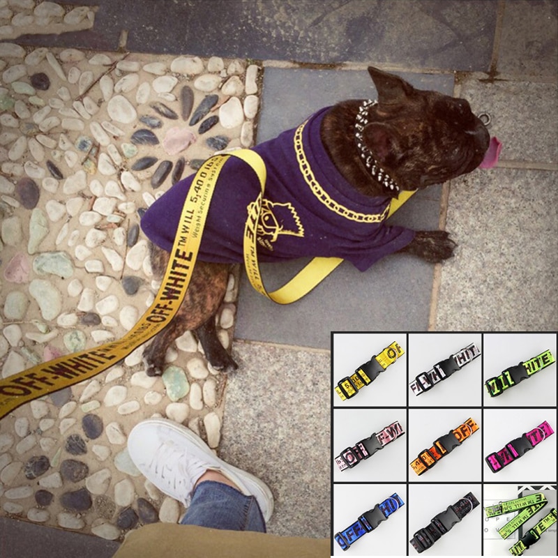 dog collars and leash sets