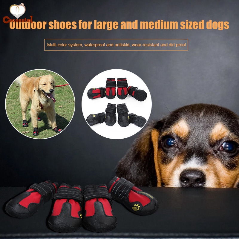 rubber boots for small dogs