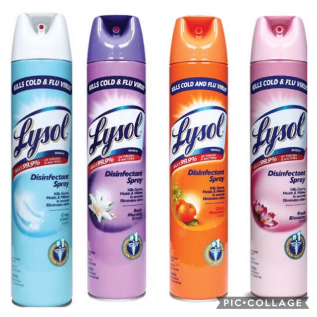 Lysol Disinfectant Spray 510g Price Philippines