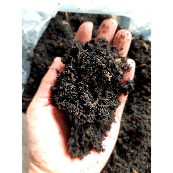 Loam soil for your plants (1 kilo) Shopee Philippines