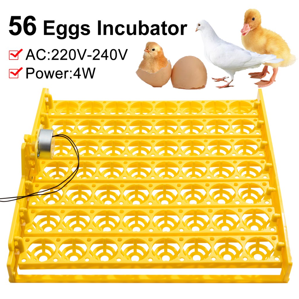 HEEPDD 56 Position Incubator Turner Tray Automatic Egg Turning Tray Tool with Turning Motor for Hatching Chicken Duck Bird Quail Poultry 