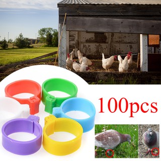 100Pcs Poultry Leg Bands Bird Pigeon Parrot Duck Hen Rings Clip 1-100 Numbered