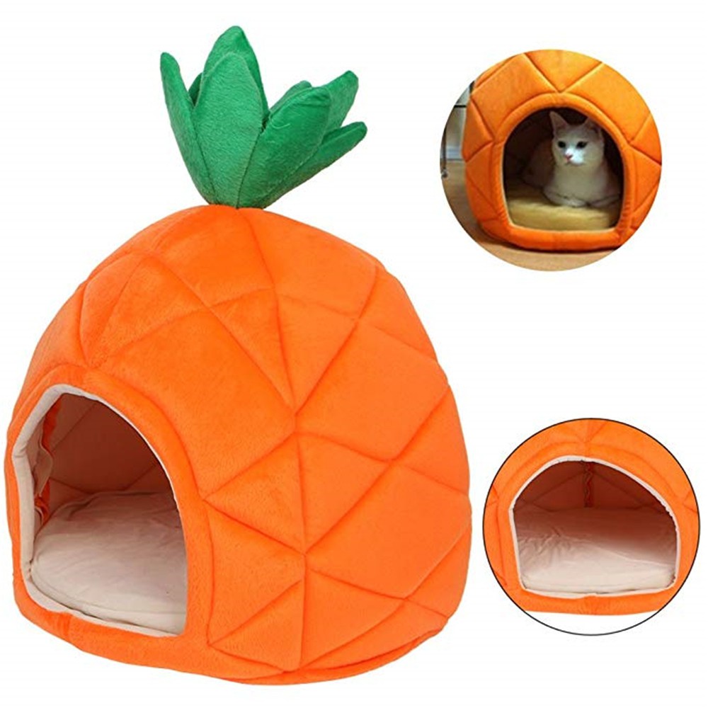 pineapple bed for dogs