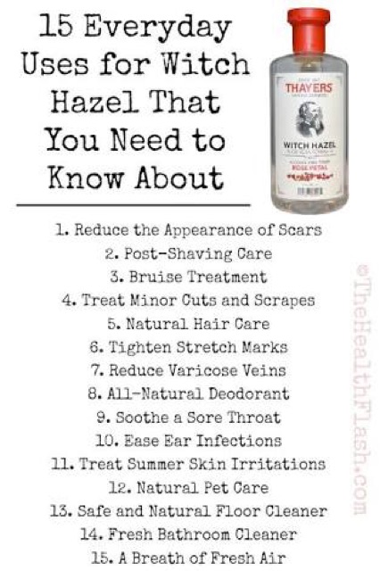 Thayers Witch Hazel Toner 355ml Shopee Philippines