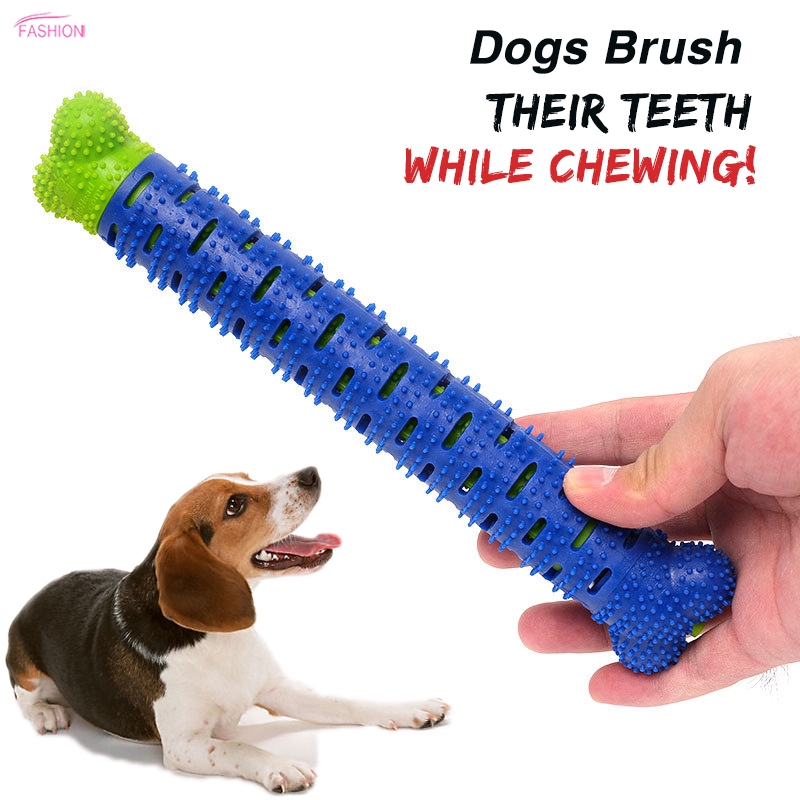 dog toothbrush dental stick