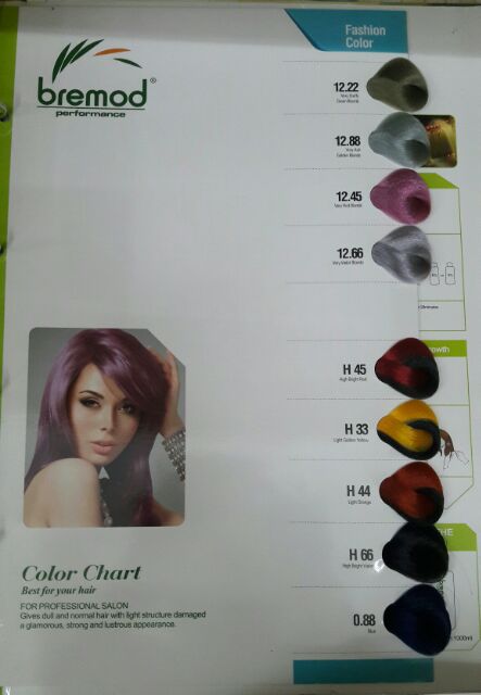 Bremod Fashion Hair Color 100ml Wholesale P85 00 Shopee