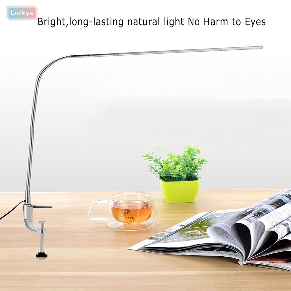 long desk light