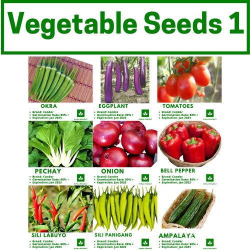 Vegetable Seeds Pechay Talong Kamatis Sibuyas Okra Sili Bell Pepper 