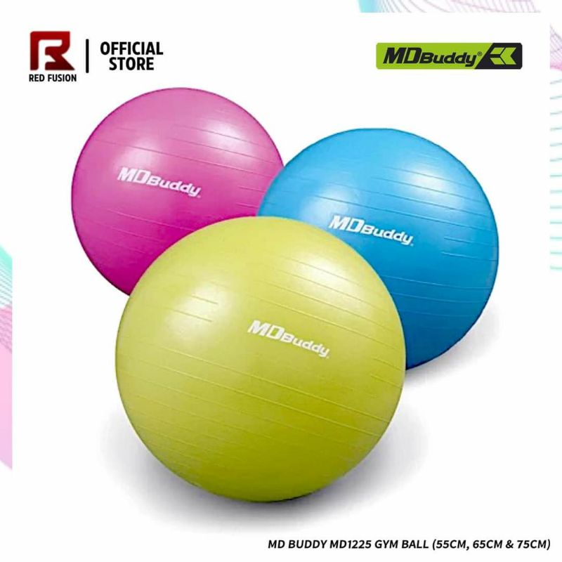 MD Buddy Gym Balls / Yoga balls Shopee Philippines