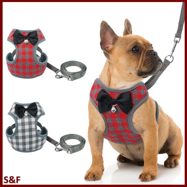 small dog harness and leash