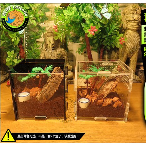 gecko vivarium accessories
