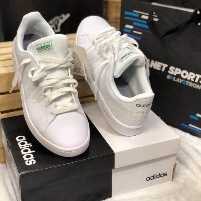 adidas advantage base trainers