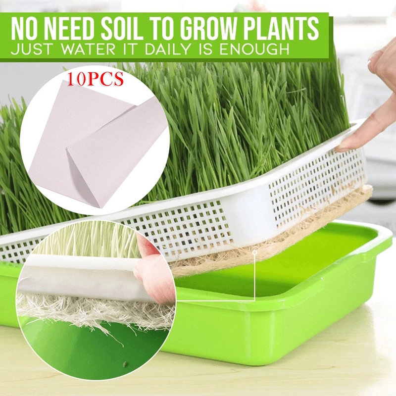 Hydroponics Basket Seed Nursery Pots Flower Plant Sprouter Grow Sponge Tray 