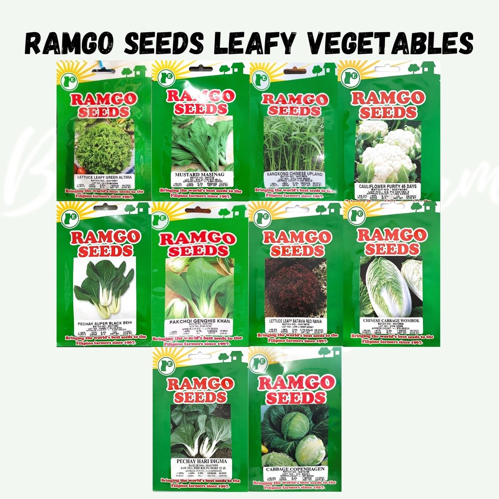 Ramgo Seeds (Leafy Vegetables) Lettuce Mustard Kangkong Cauliflower ...