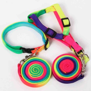 Colorful Rainbow Pet Dog Collar Harness Leash Soft Walking Harness Lead Traction Rope Nylon 120cm